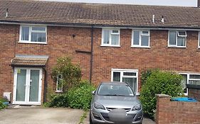 Homely Home